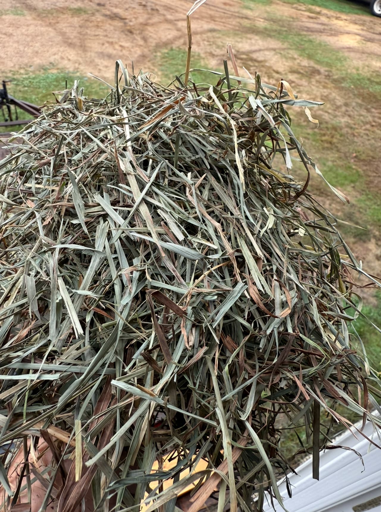 2nd Cut Hay