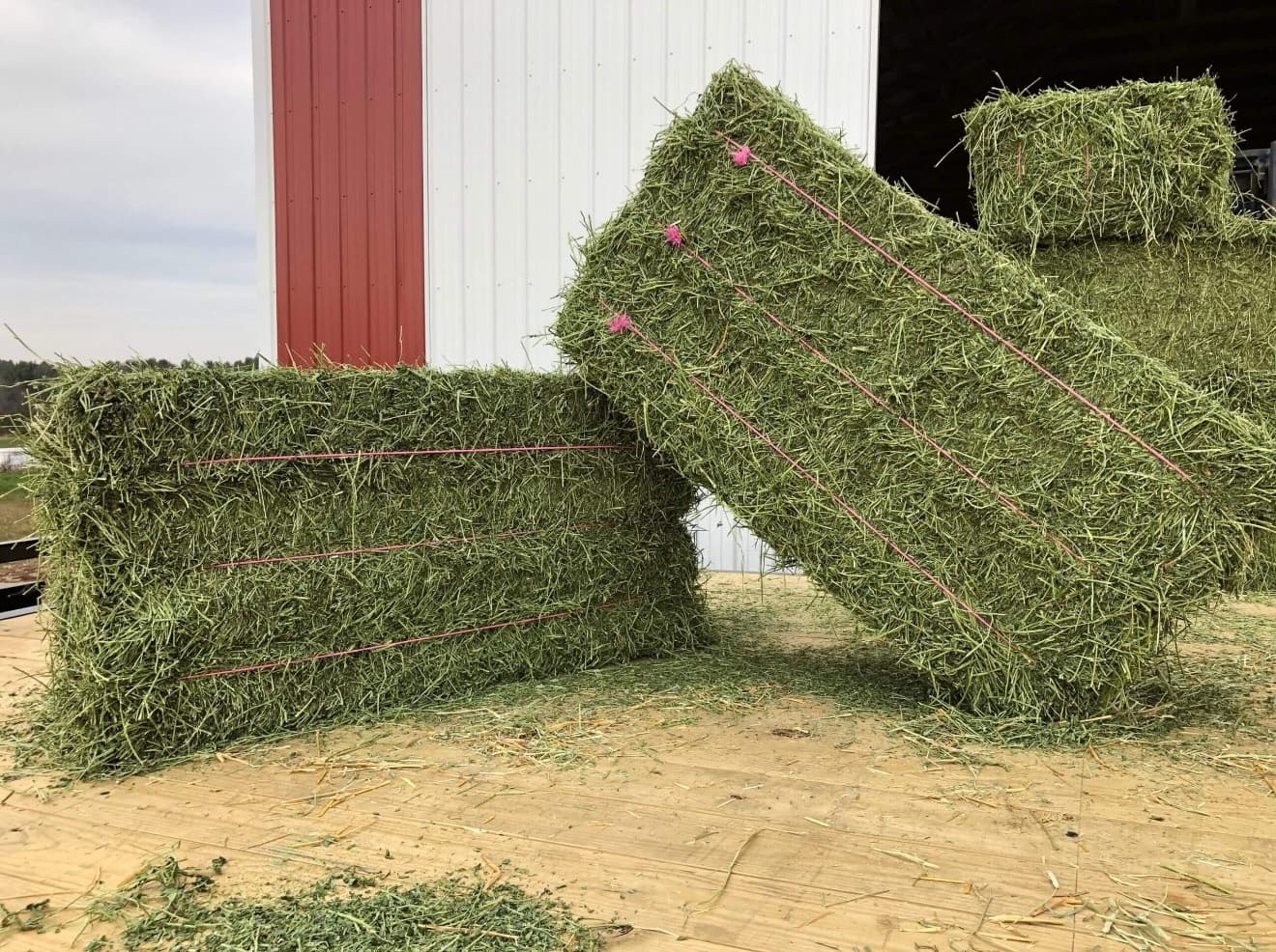 Premium Alfalfa Bales