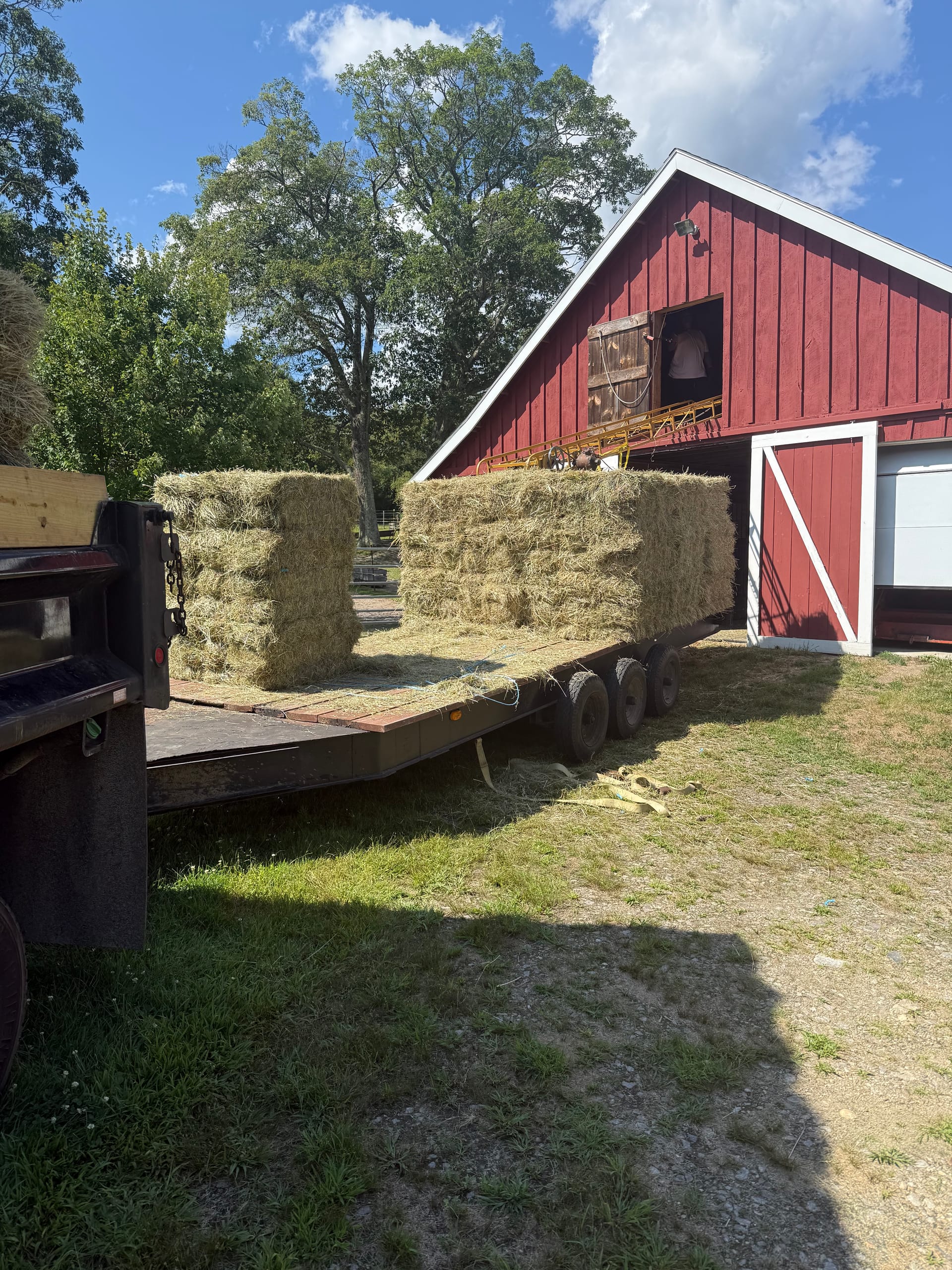 1st Cut Hay Field